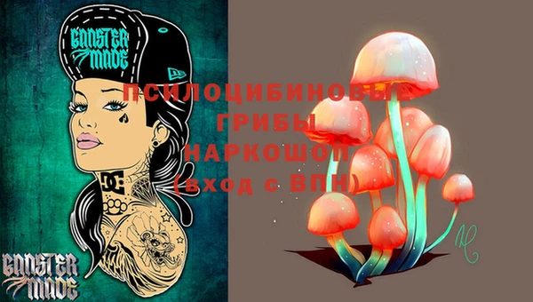 PSILOCYBIN Беломорск